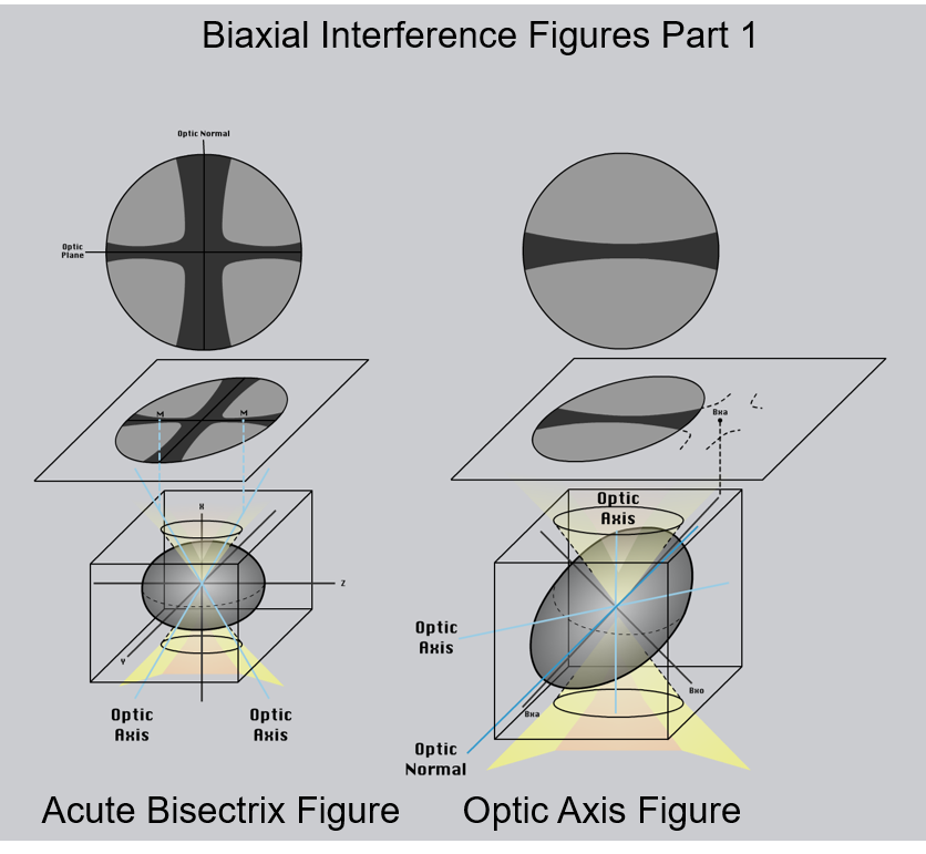 Figure 2.8.12.A. Different types of interference figures produced by biaxial minerals. For simplicity, isochromes are not shown. The lower part of each image shows the orientation of the indicatrix for the mineral. The middle part of the diagram shows the interference figure relative to the thin section and the upper image shows the view through the microscope ocular. M= melatope; Bxa = acute bisectrix; Bxo = obtuse bisectrix.