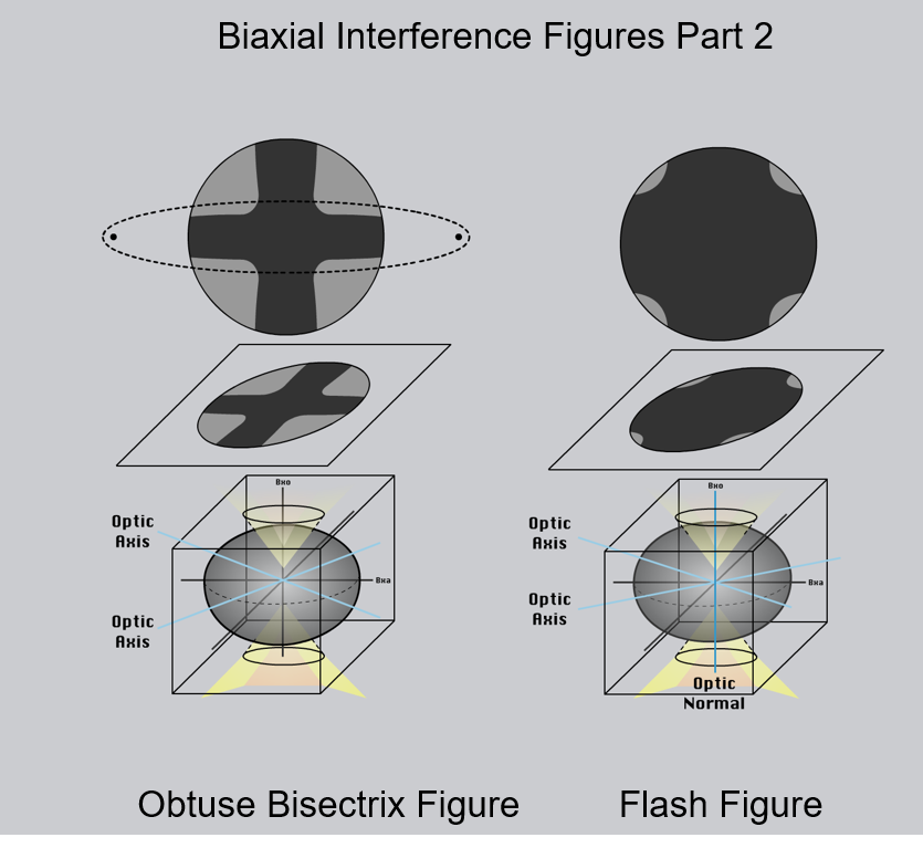 Figure 2.8.12.B. Different types of interference figures produced by biaxial minerals. For simplicity, isochromes are not shown. The lower part of each image shows the orientation of the indicatrix for the mineral. The middle part of the diagram shows the interference figure relative to the thin section and the upper image shows the view through the microscope ocular. Bxa = acute bisectrix; Bxo = obtuse bisectrix.