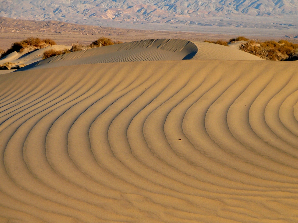 Ripples_on_Mesquite_Flat_Sand_Dunes.jpg