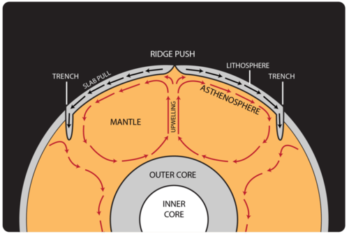 Thermal convection cells in the Earth