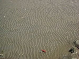 Sand with small wave patterns